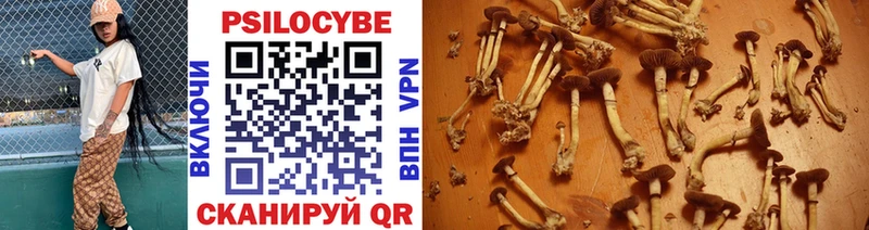 даркнет Telegram Южно-Сухокумск Галлюциногенные грибы Magic Shrooms как найти